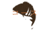 COURSE