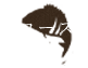 COURSE